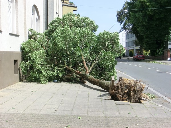 Sturm - Orkan - Schäden