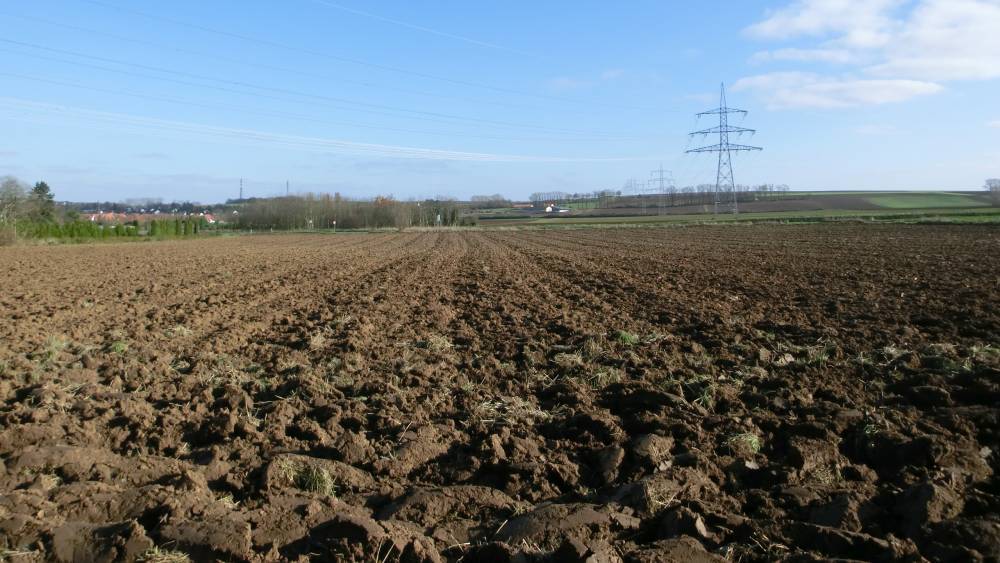 Freier Blick in Hauptwindrichtung