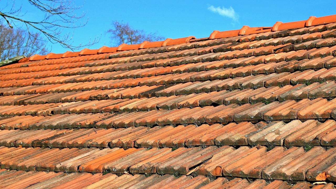 Dach-Sanierung und Dämmung